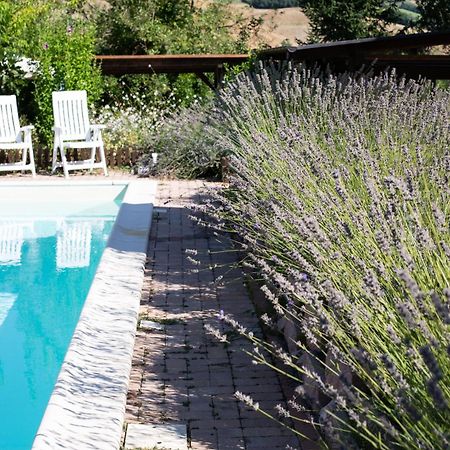Country House Villa Sabrina 산 지미그나노 외부 사진