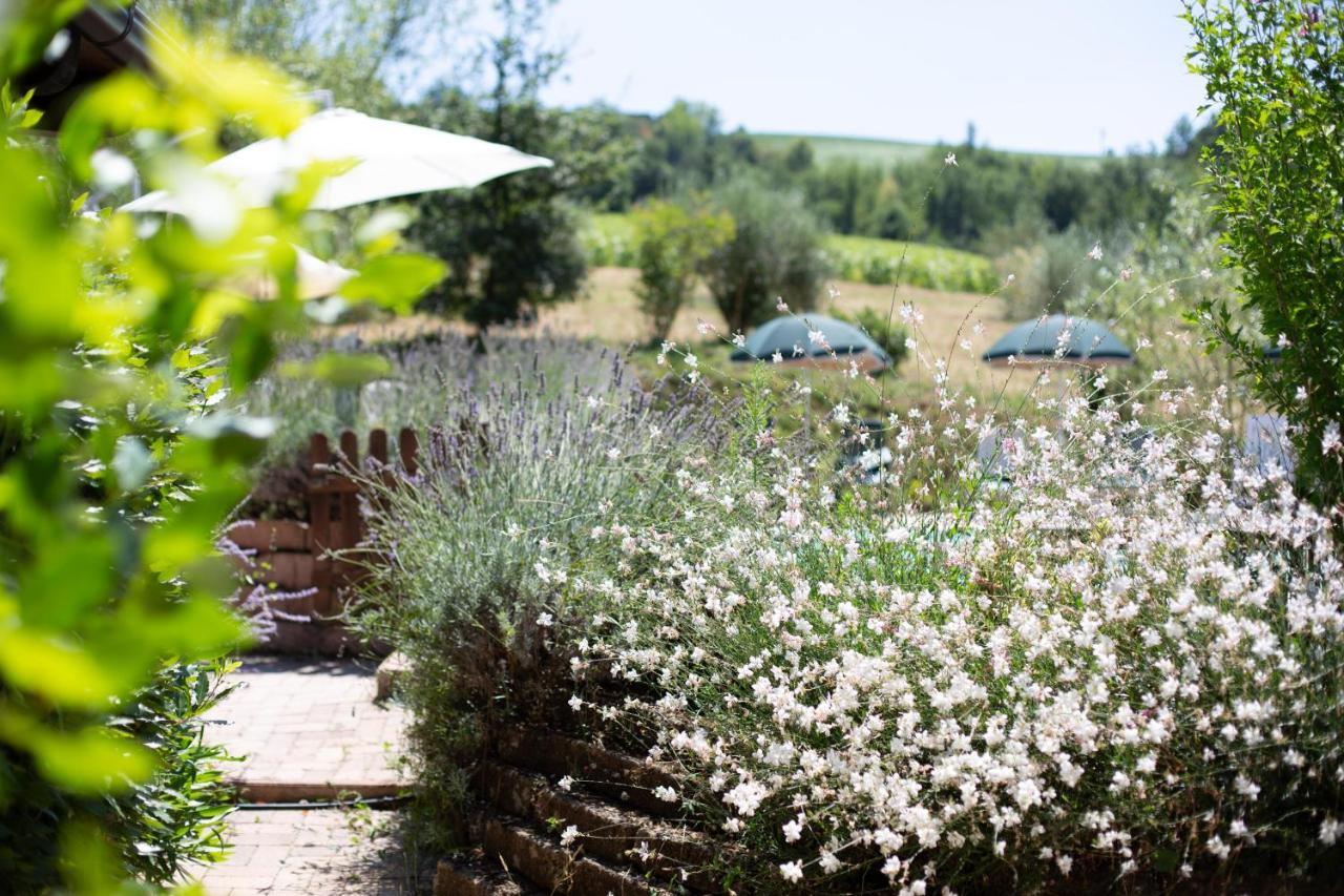 Country House Villa Sabrina 산 지미그나노 외부 사진