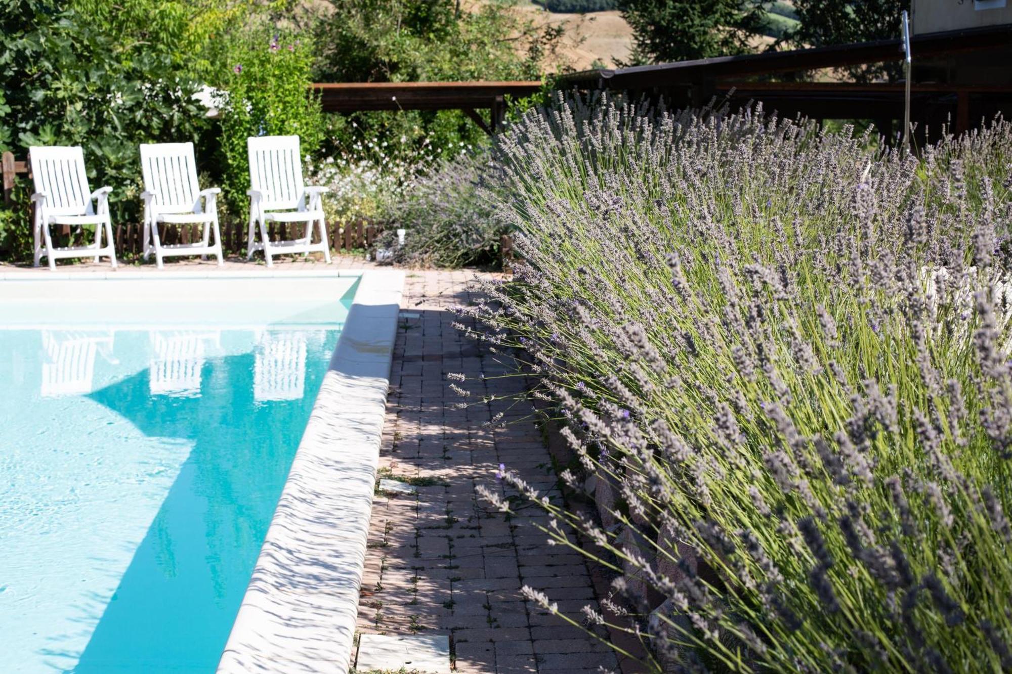 Country House Villa Sabrina 산 지미그나노 외부 사진
