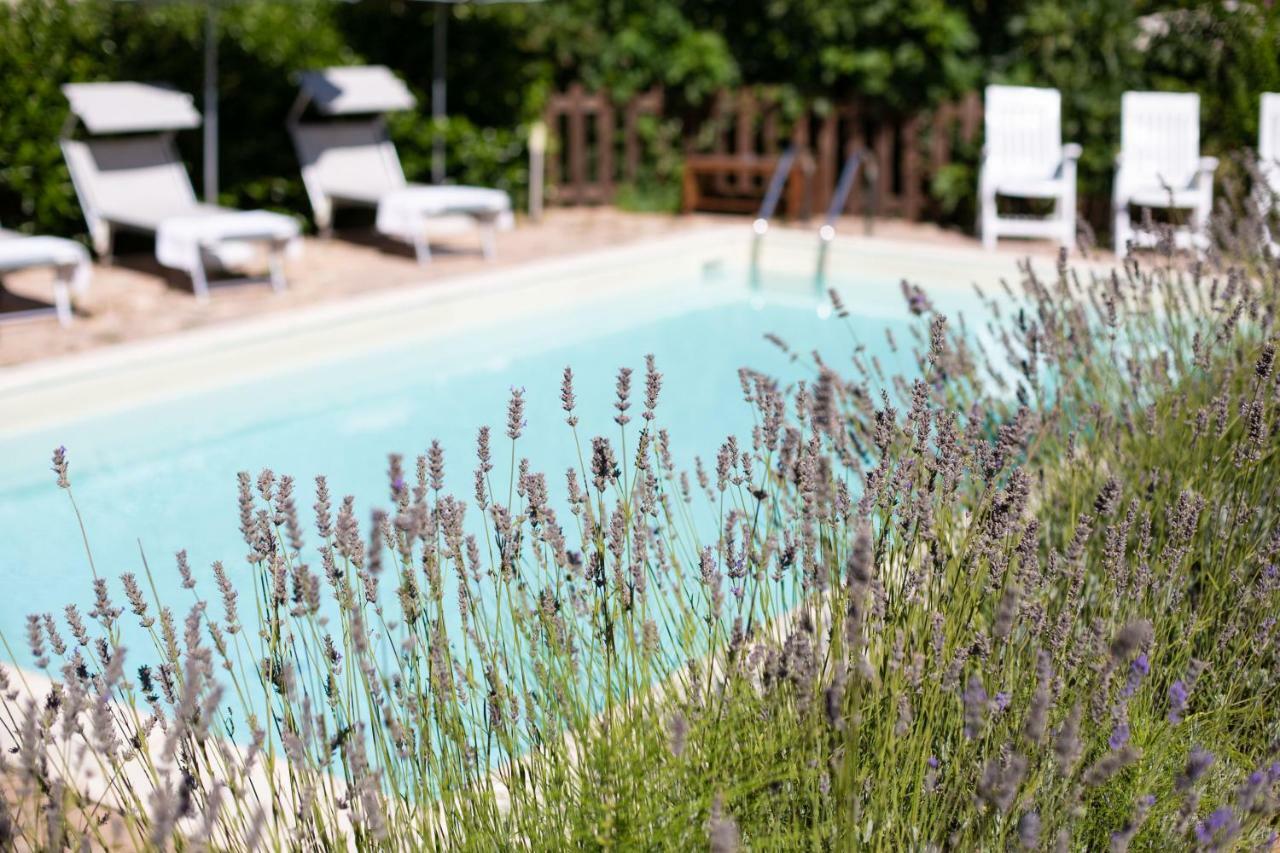 Country House Villa Sabrina 산 지미그나노 외부 사진